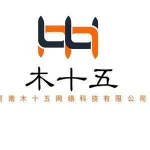 河南木十五網(wǎng)絡(luò)科技 技術(shù)驅(qū)動(dòng)創(chuàng)新，引領(lǐng)數(shù)字化未來(lái)
